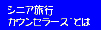 �V�j�A���s�J�E���Z���[�Y�Ƃ�